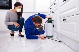 Best Indoor Pest Control  in Myrtle Point, OR